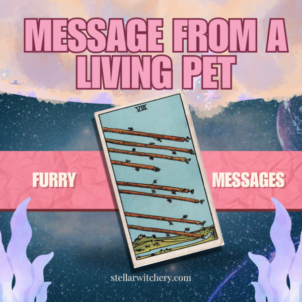 message from a living pet tarot reading philippines