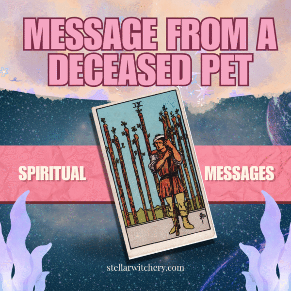 message from a deceased pet tarot reading philippines